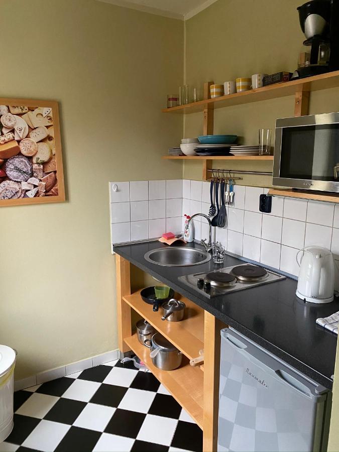 Apartments Merlin Mariánské Lázně Extérieur photo